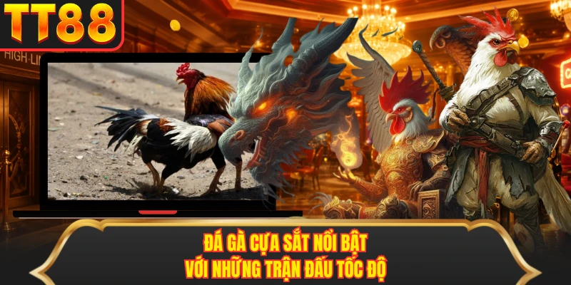 Đá gà cựa sắt nổi bật với những trận đấu tốc độ