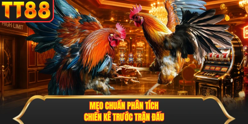Mẹo chuẩn phân tích chiến kê trước trận đấu Mẹo chuẩn phân tích chiến kê trước trận đấu